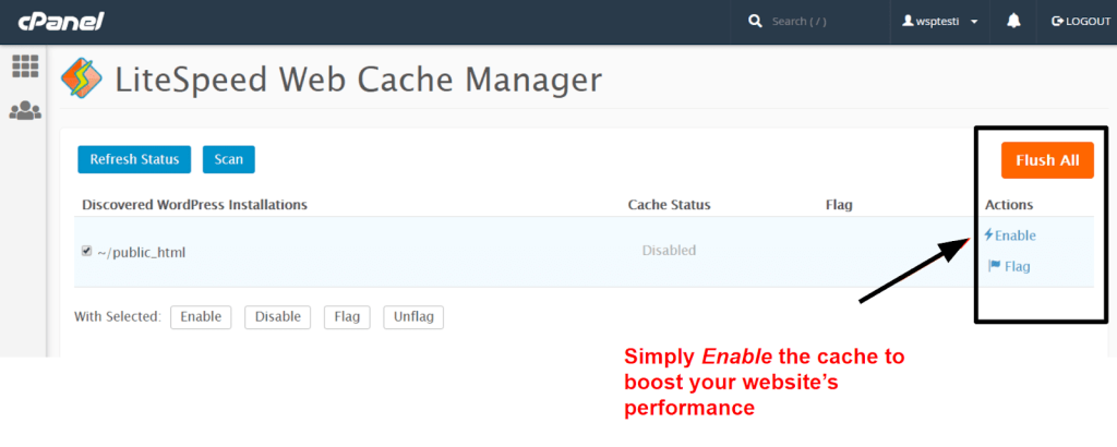 interserver hosting web cache manager
